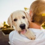 Essential Tips for First-Time Dog Owners