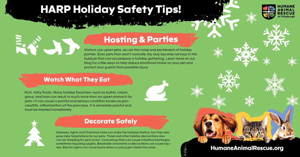 Pet Safety During the Holidays