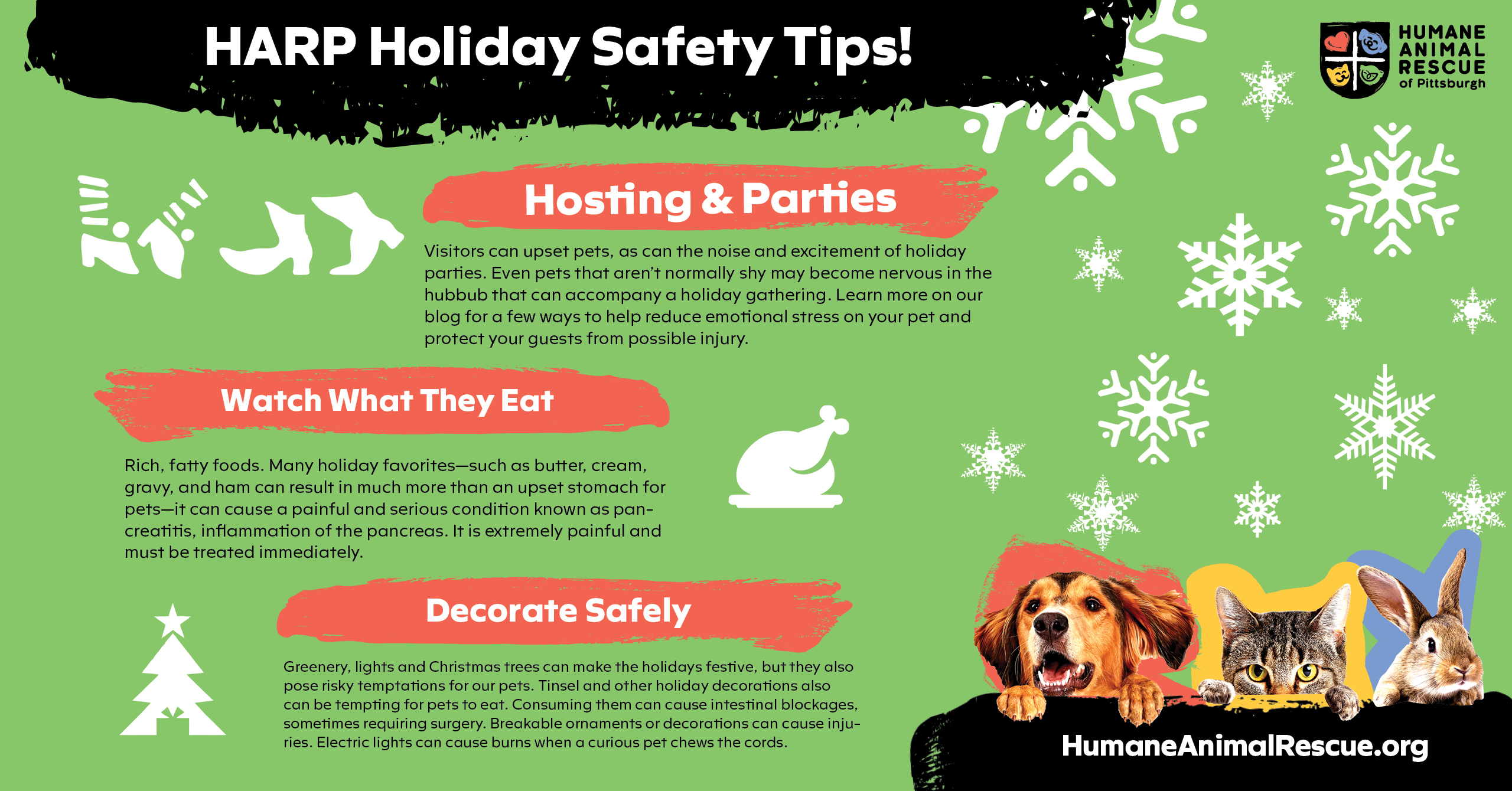 Pet Safety During the Holidays