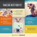 Tips for Traveling with Your Pet