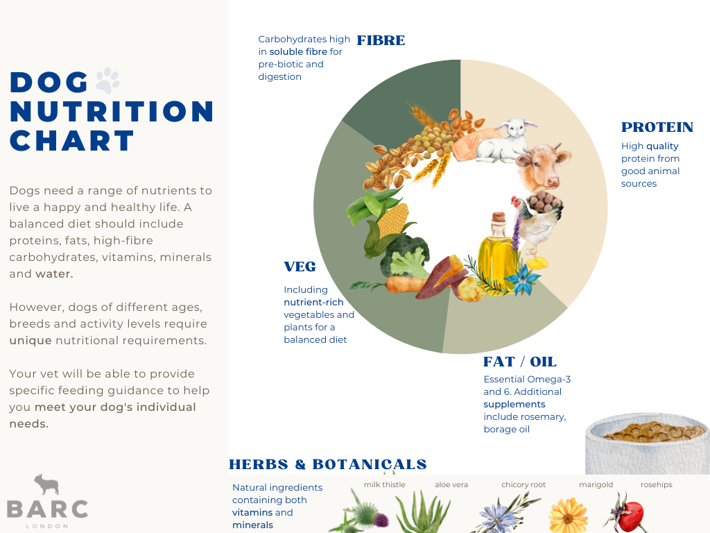 Nutritional Guidelines for Different Dog Breeds