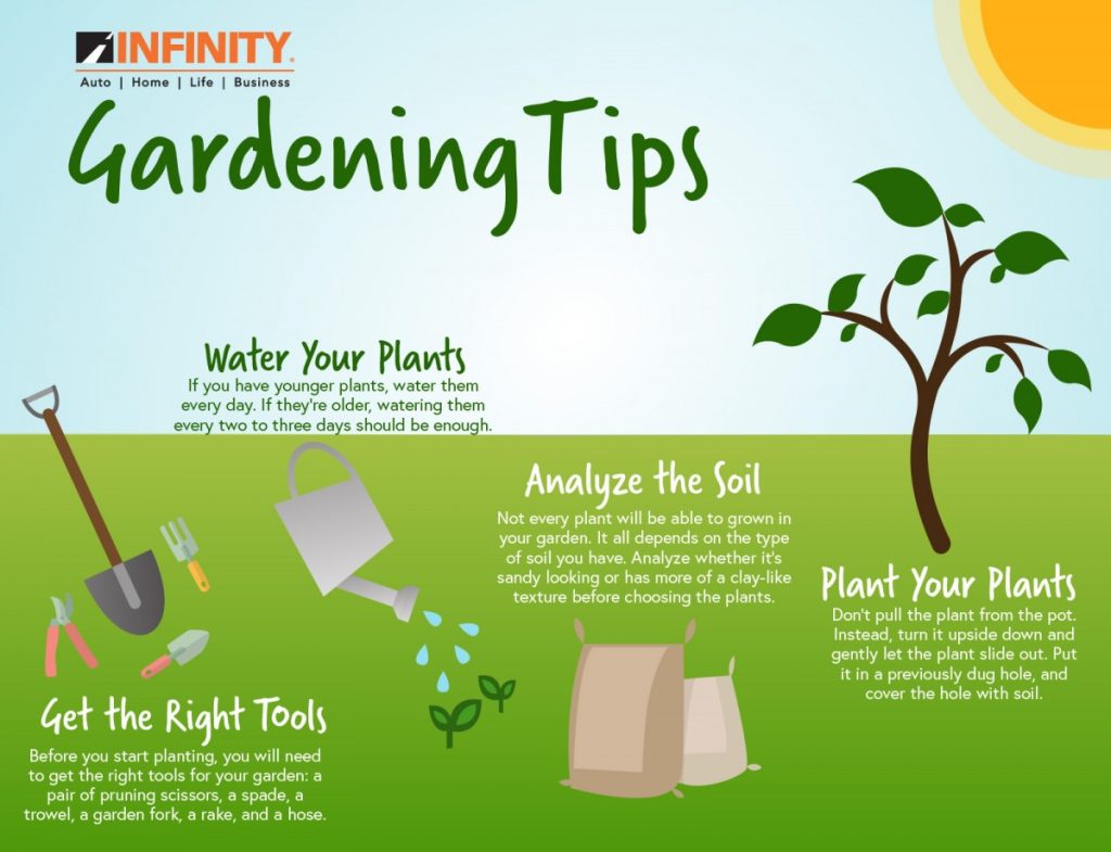 Cultivating a Home Garden: Tips for Beginners