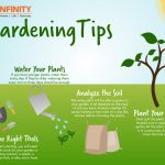 Cultivating a Home Garden: Tips for Beginners