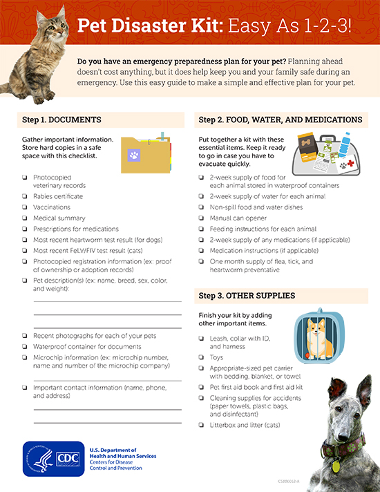 Emergency Preparedness: Keeping Your Pets Safe in a Crisis